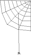 Spinne